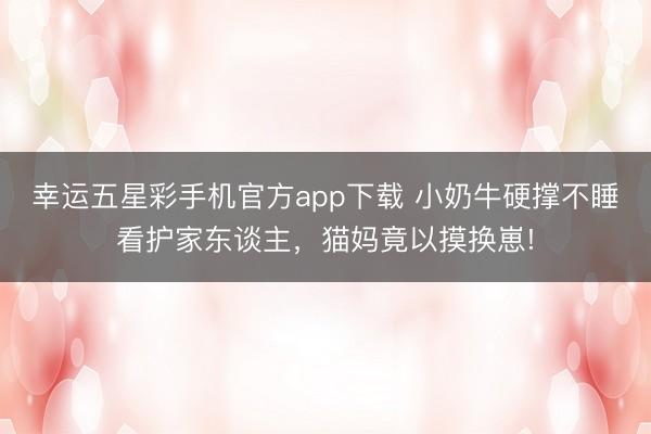 幸运五星彩手机官方app下载 小奶牛硬撑不睡看护家东谈主,猫妈竟以摸换崽!