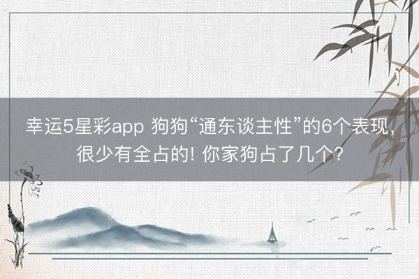 幸运5星彩app 狗狗“通东谈主性”的6个表现，很少有全占的! 你家狗占了几个?
