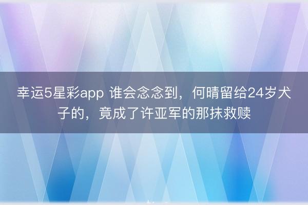 幸运5星彩app 谁会念念到，何晴留给24岁犬子的，竟成了许亚军的那抹救赎