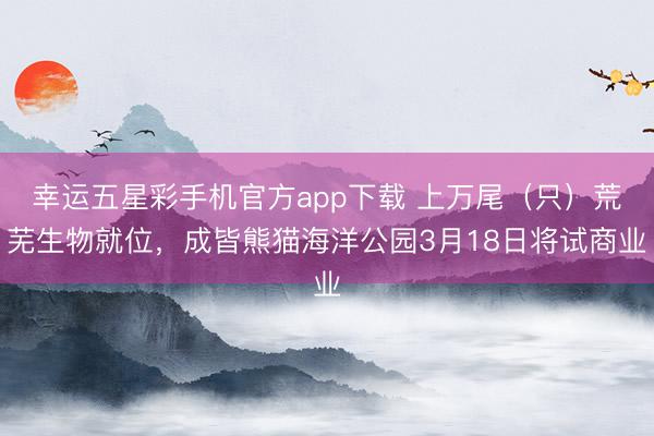 幸运五星彩手机官方app下载 上万尾（只）荒芜生物就位，成皆熊猫海洋公园3月18日将试商业