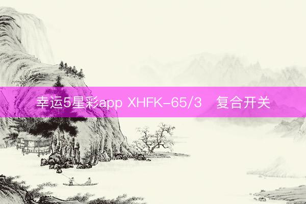 幸运5星彩app XHFK-65/3	复合开关